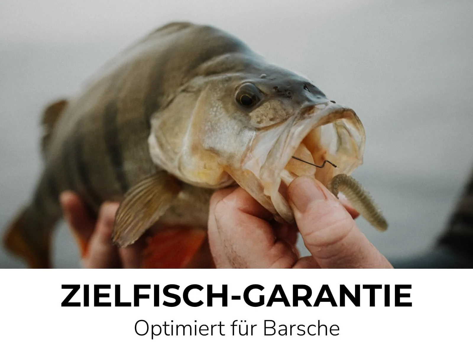 ABRAM (8 Stück) - Barsch Gummiköder - Image 5