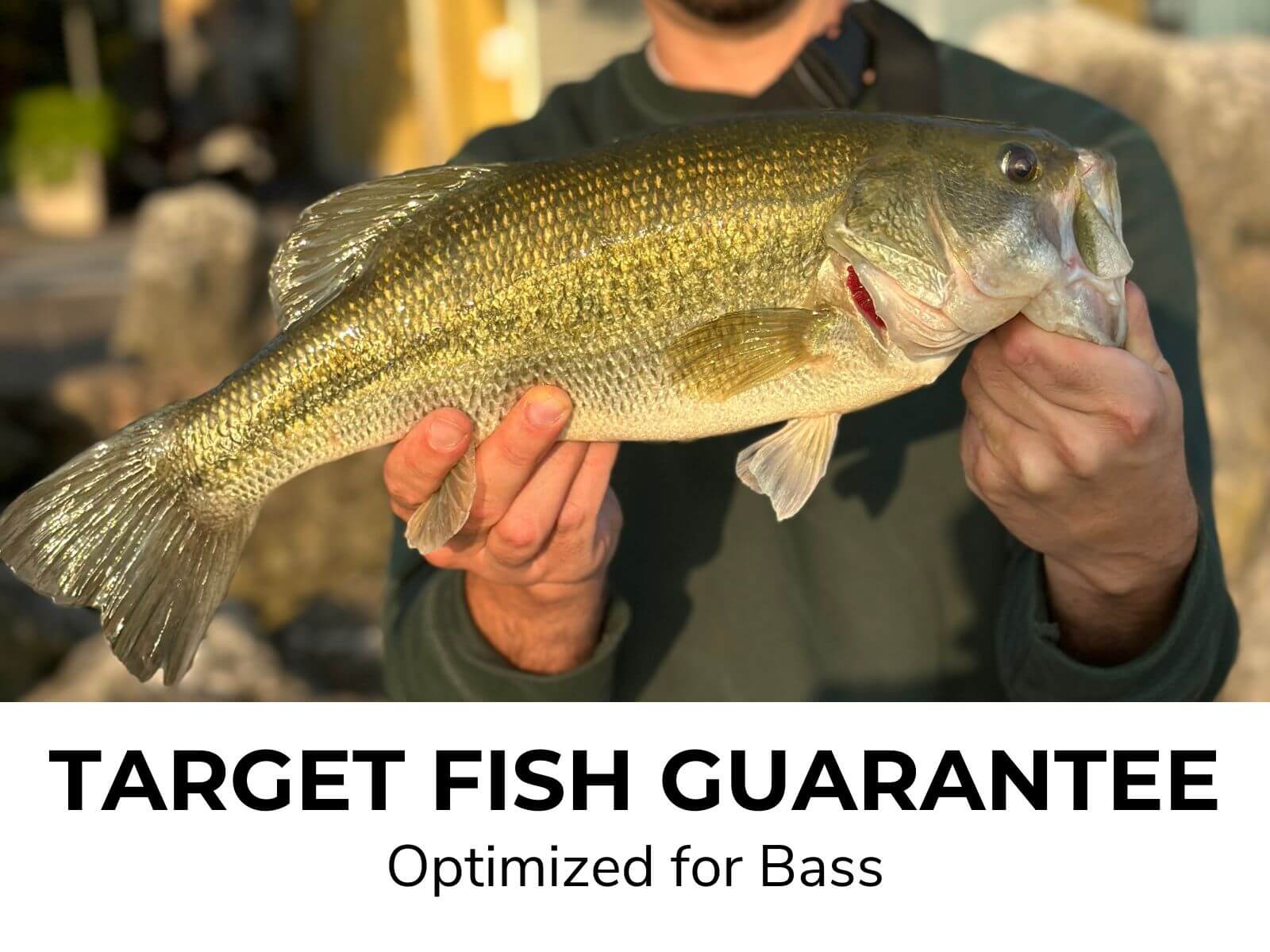 BASS GO KIT - All in One Bass Fishing Combo - Image 3