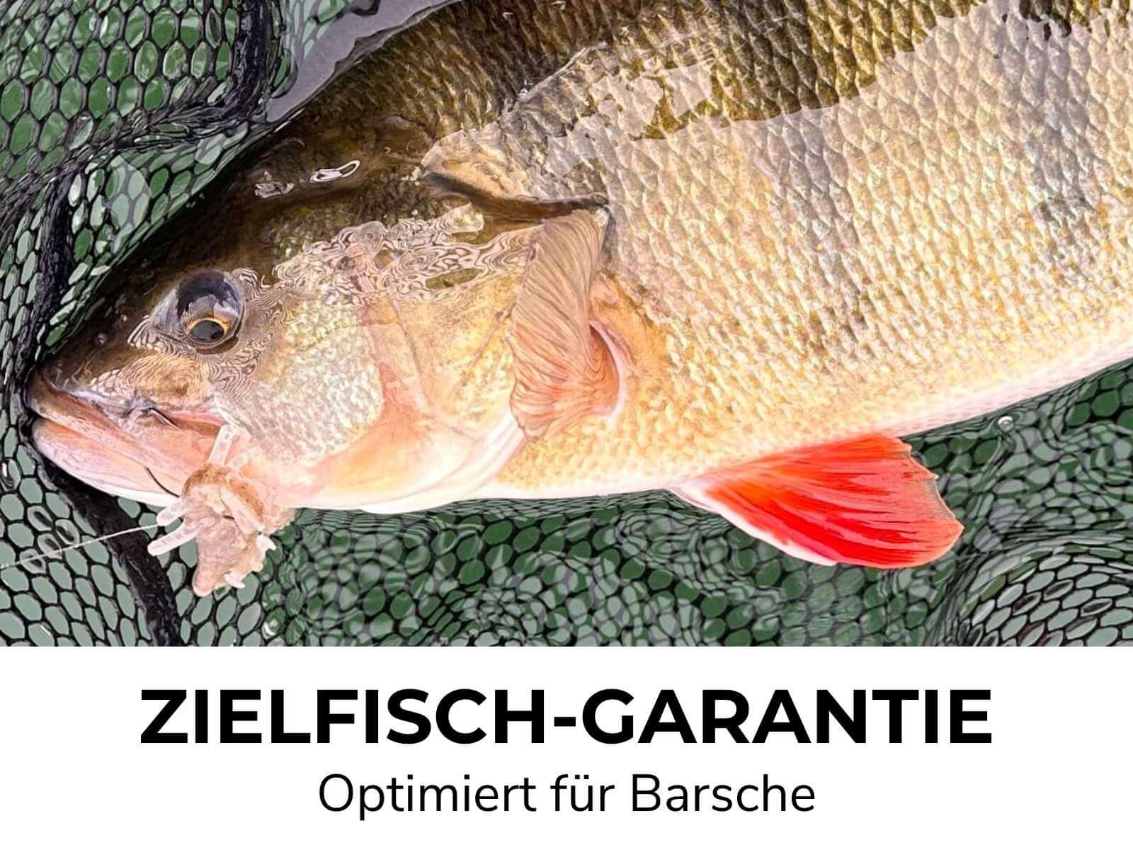 PARA - Barsch Gummiköder - Image 15