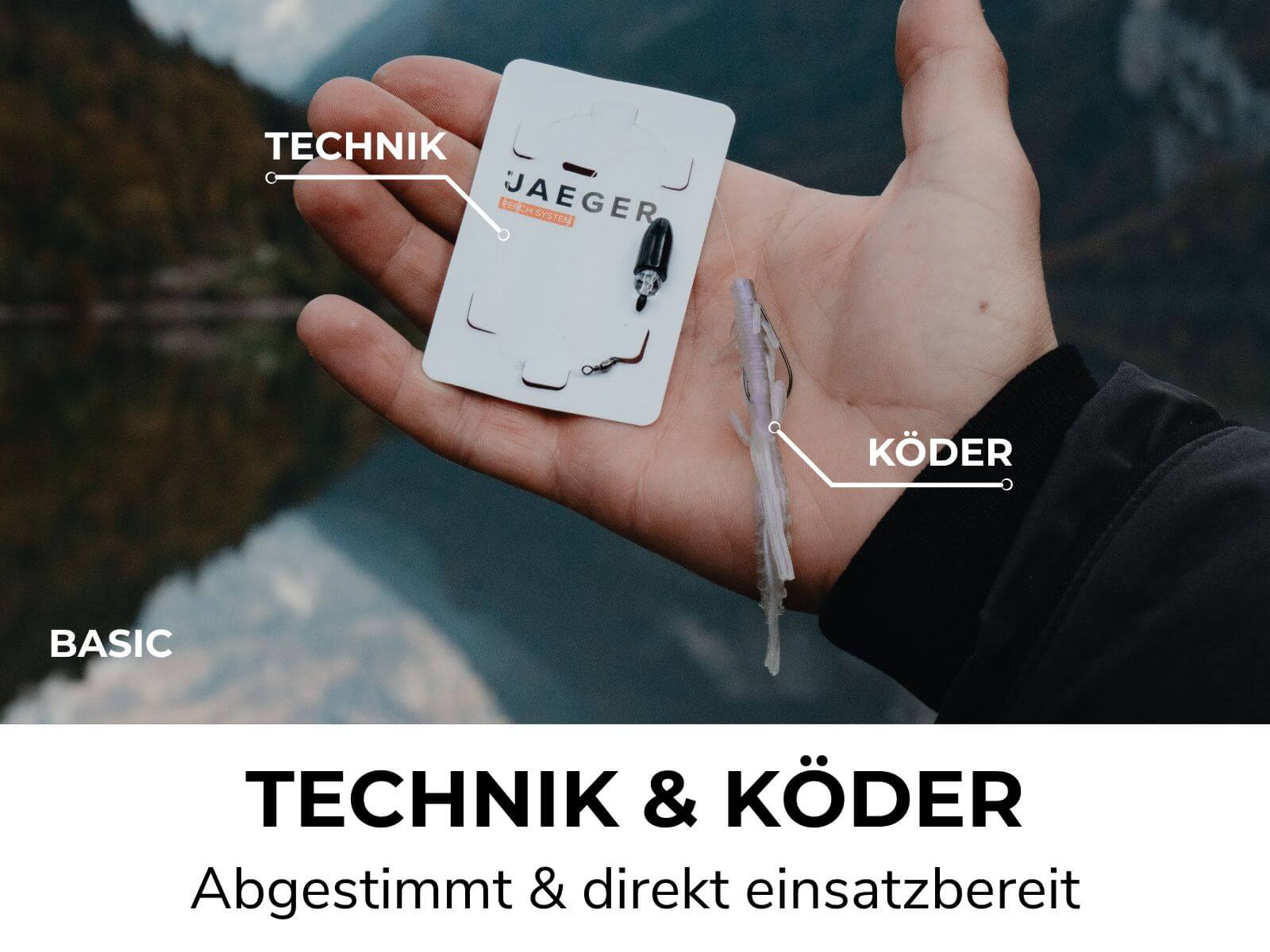 BARSCH BOX - Köder & Rigs - Image 3