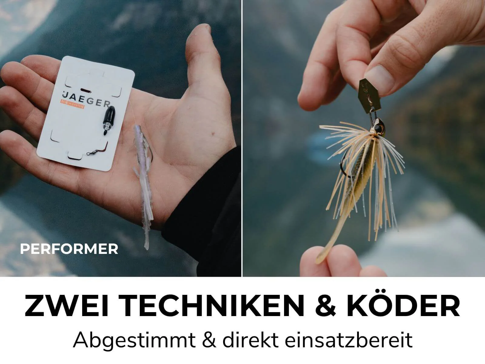 BARSCH BOX - Köder & Rigs - Image 5