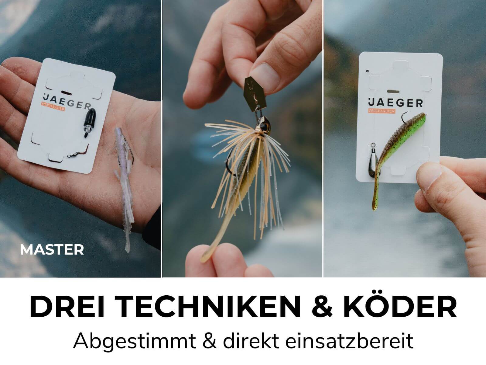 BARSCH BOX - Köder & Rigs - Image 7