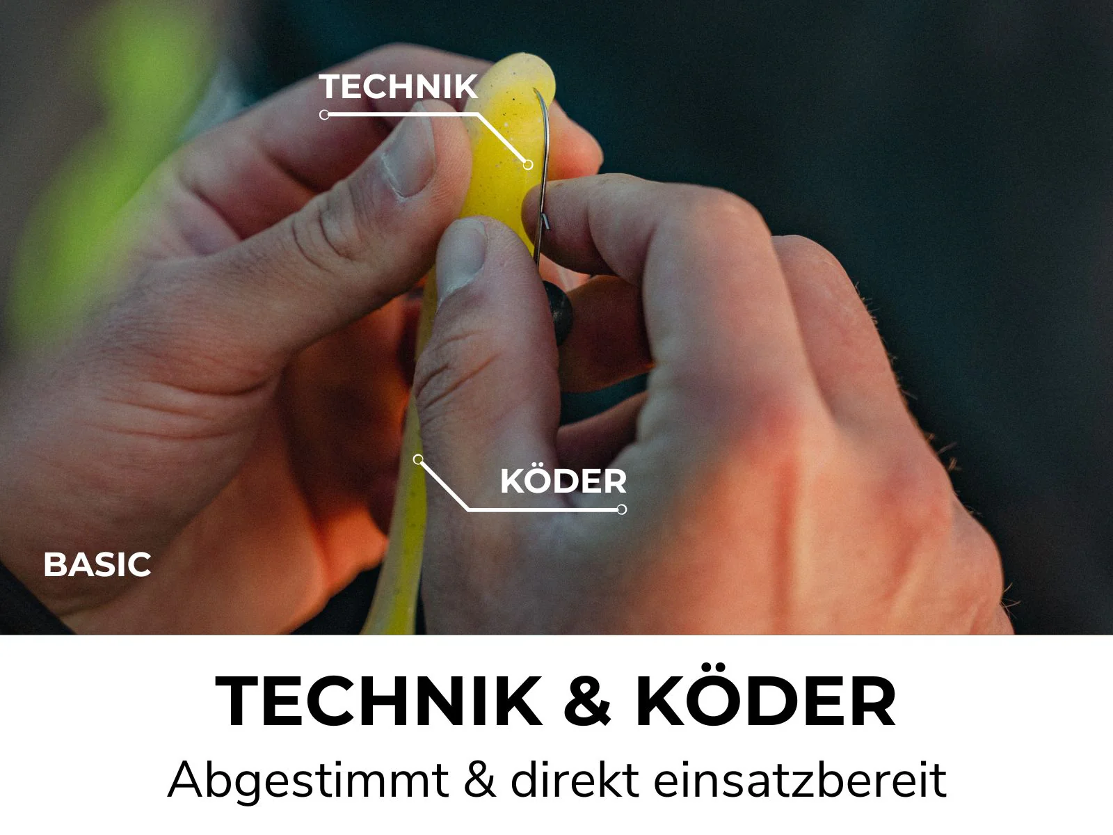 HECHT BOX - Köder & Rigs - Image 3