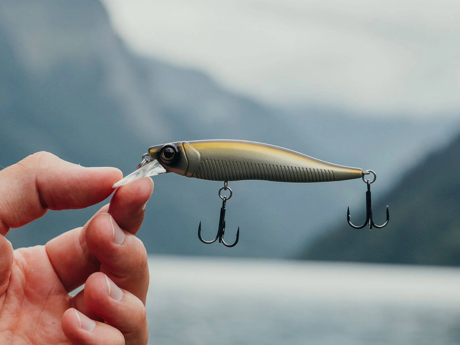THOR - Barsch Hardbait - Image 5
