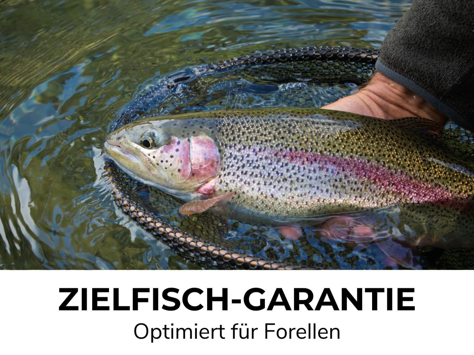 TROUT GO KIT 2 - FORELLEN STARTER COMBO - Image 4