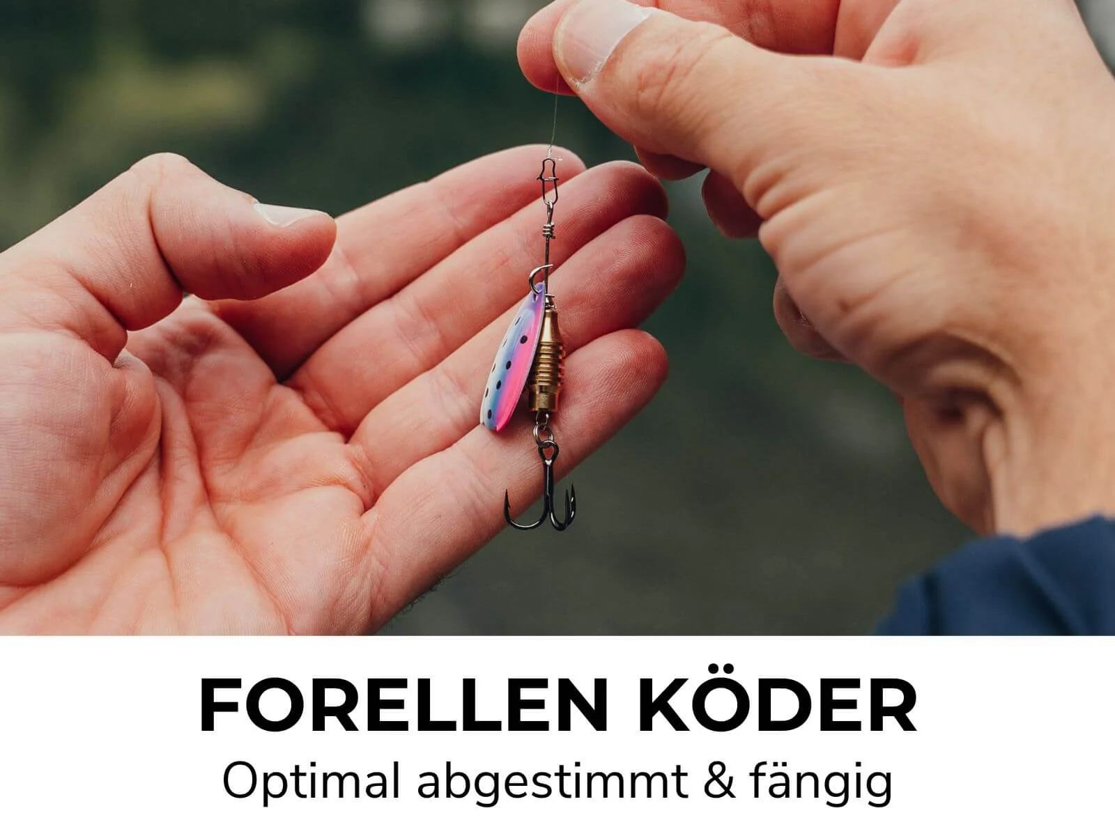 TROUT GO KIT 2 - FORELLEN STARTER COMBO - Image 8