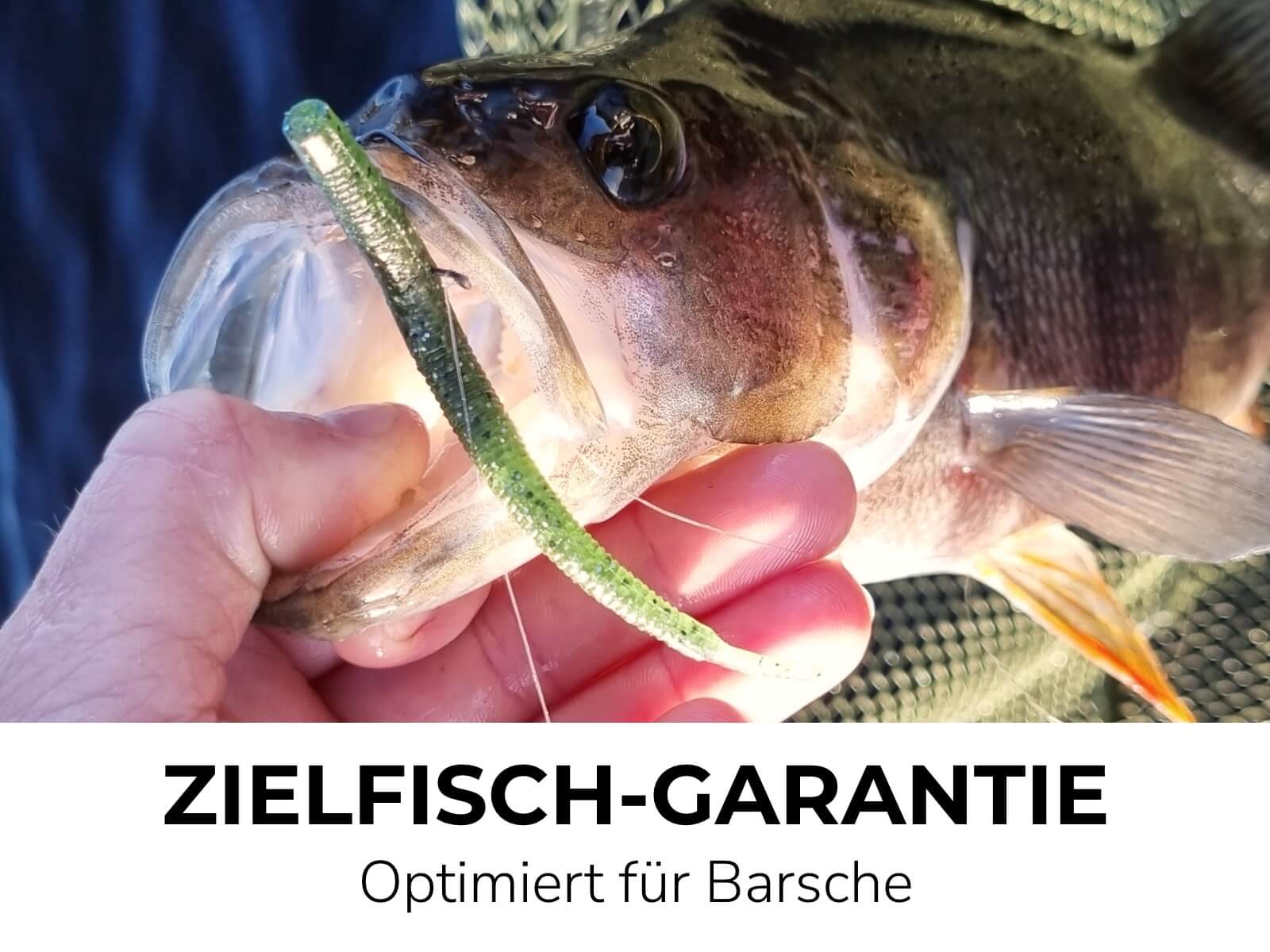 OPIS (8 Stück) - Barsch Gummiköder - Image 15