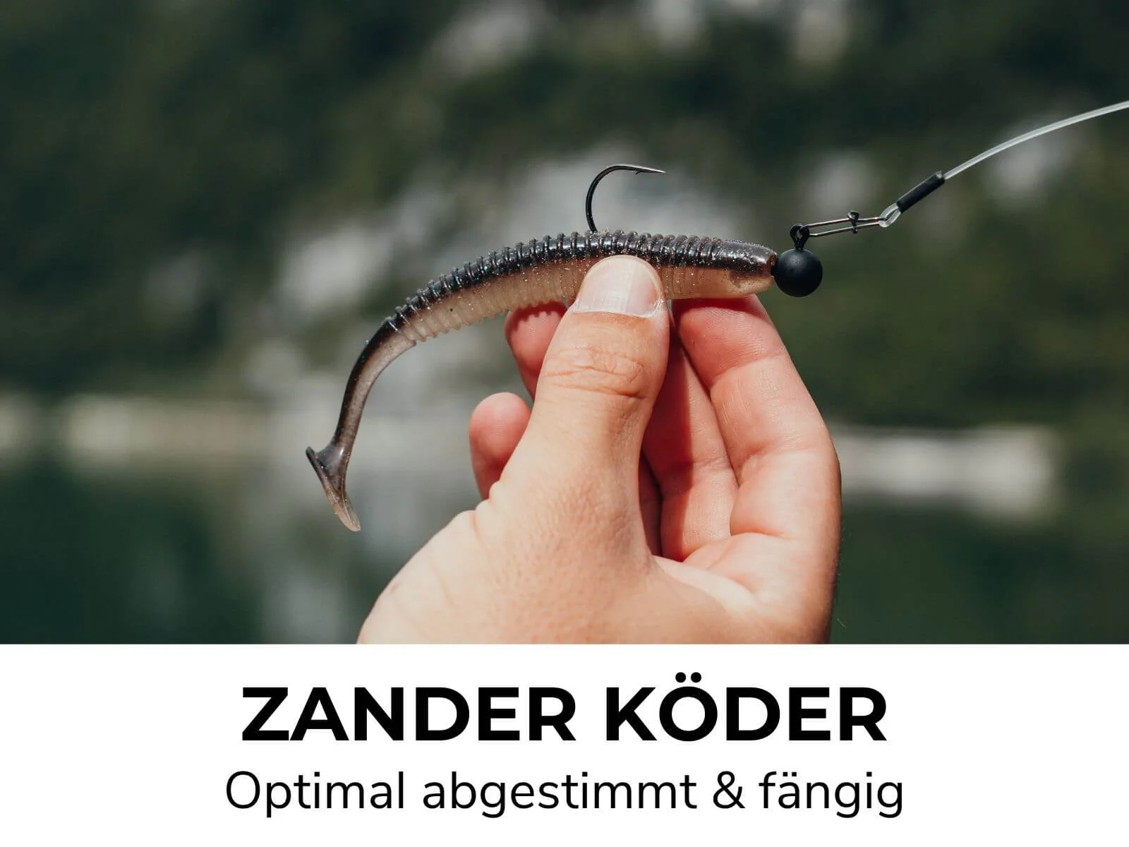 ZANDER GO KIT - Zander Starter Combo - Image 9